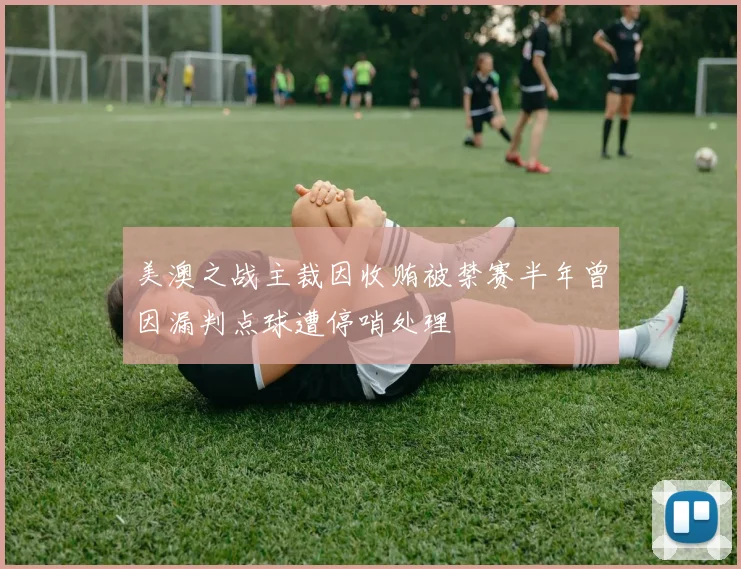 美澳之战主裁因收贿被禁赛半年曾因漏判点球遭停哨处理