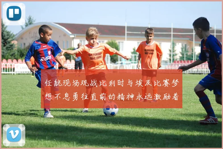 任航现场观战比利时与埃及比赛梦想不息勇往直前的精神永远激励着我们