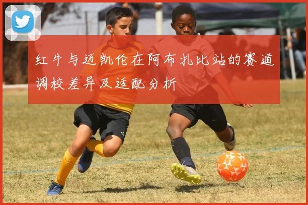 红牛与迈凯伦在阿布扎比站的赛道调校差异及适配分析