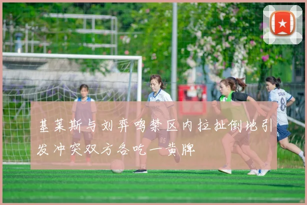 基莱斯与刘弈鸣禁区内拉扯倒地引发冲突双方各吃一黄牌