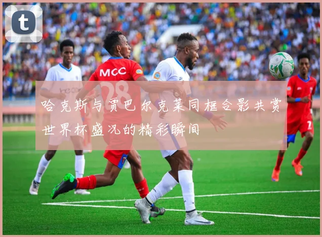 哈克斯与贾巴尔克莱同框合影共赏世界杯盛况的精彩瞬间